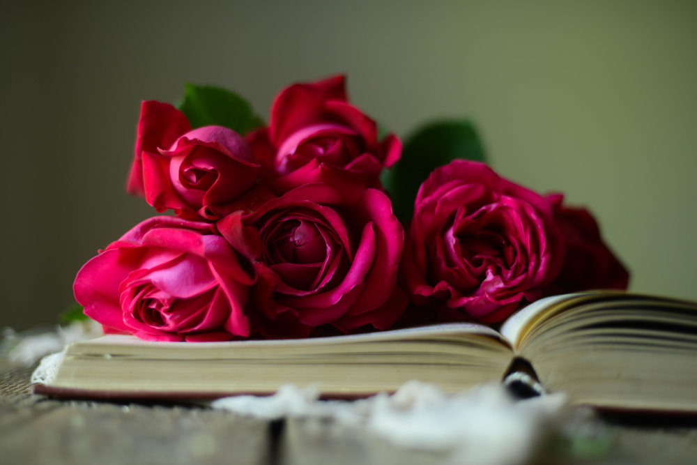 Poetry book with red roses